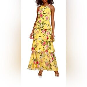 JESSICA HOWARD Women’s Dress Style Maxi Sleeveless Chiffon. Size 10P petite